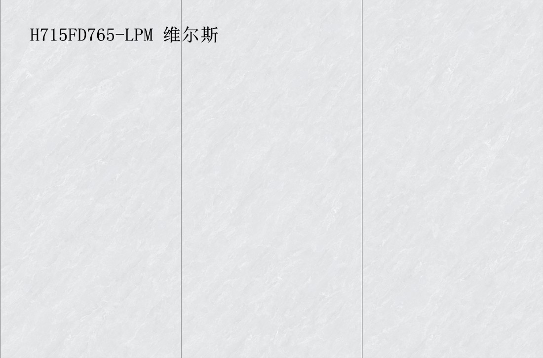 H715FD765-LPM 维尔斯