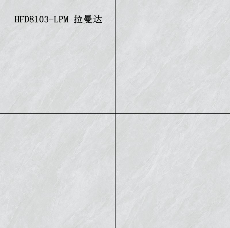 HFD8103-LPM 拉曼达