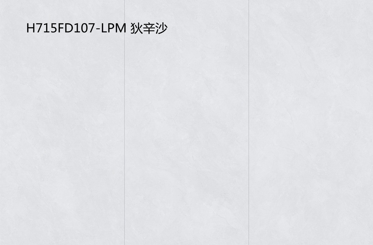 H715FD107-LPM 狄辛沙
