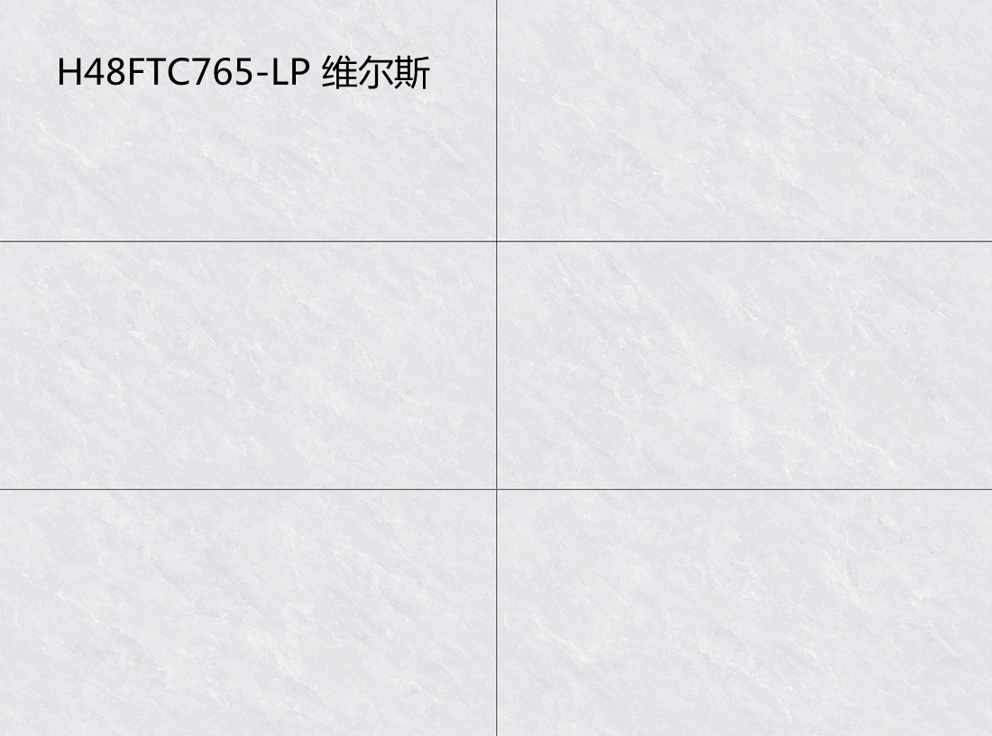 H48FTC765-LP 维尔斯
