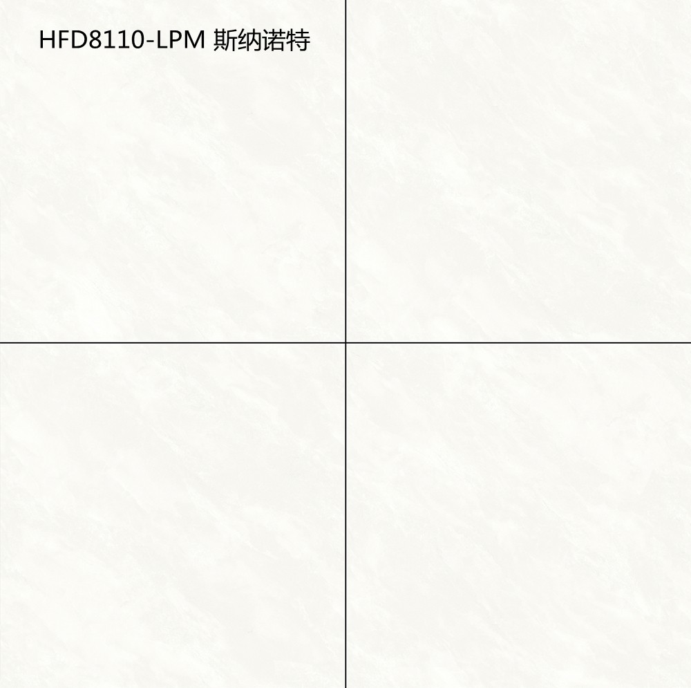 HFD8110-LPM 斯纳诺特
