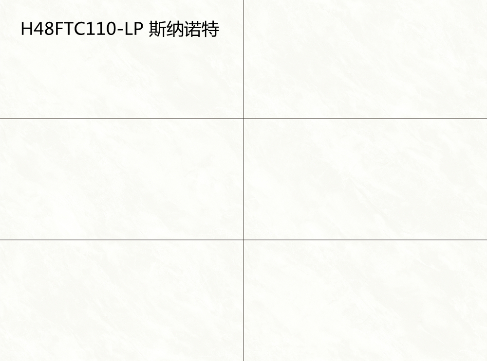 H48FTC110-LP 斯纳诺特